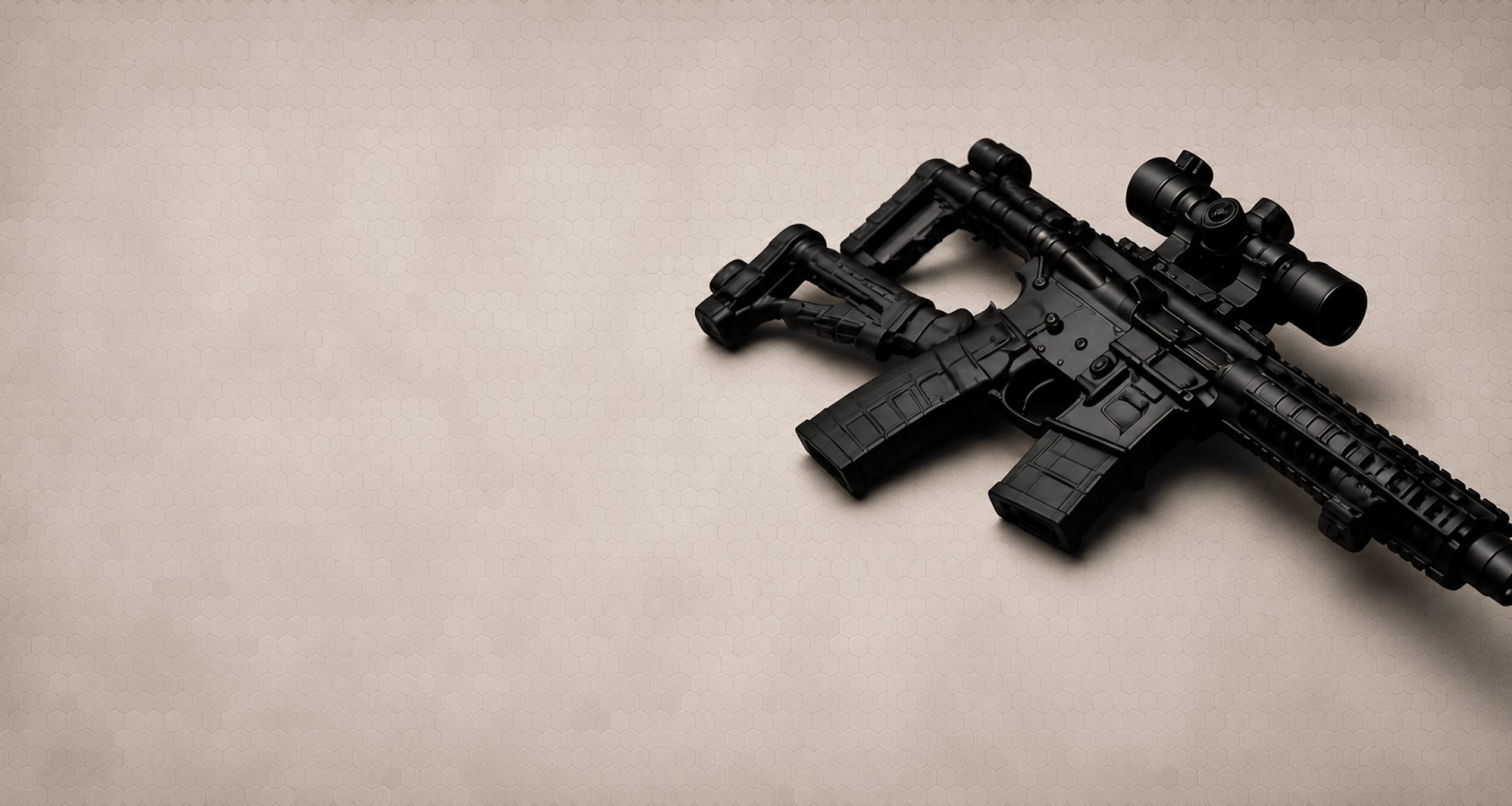 Customized rifle build